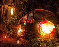 They also organize a lantern festival which is a fundraising event. It is a wonderful event where the whole of the park is illuminated with dim lights